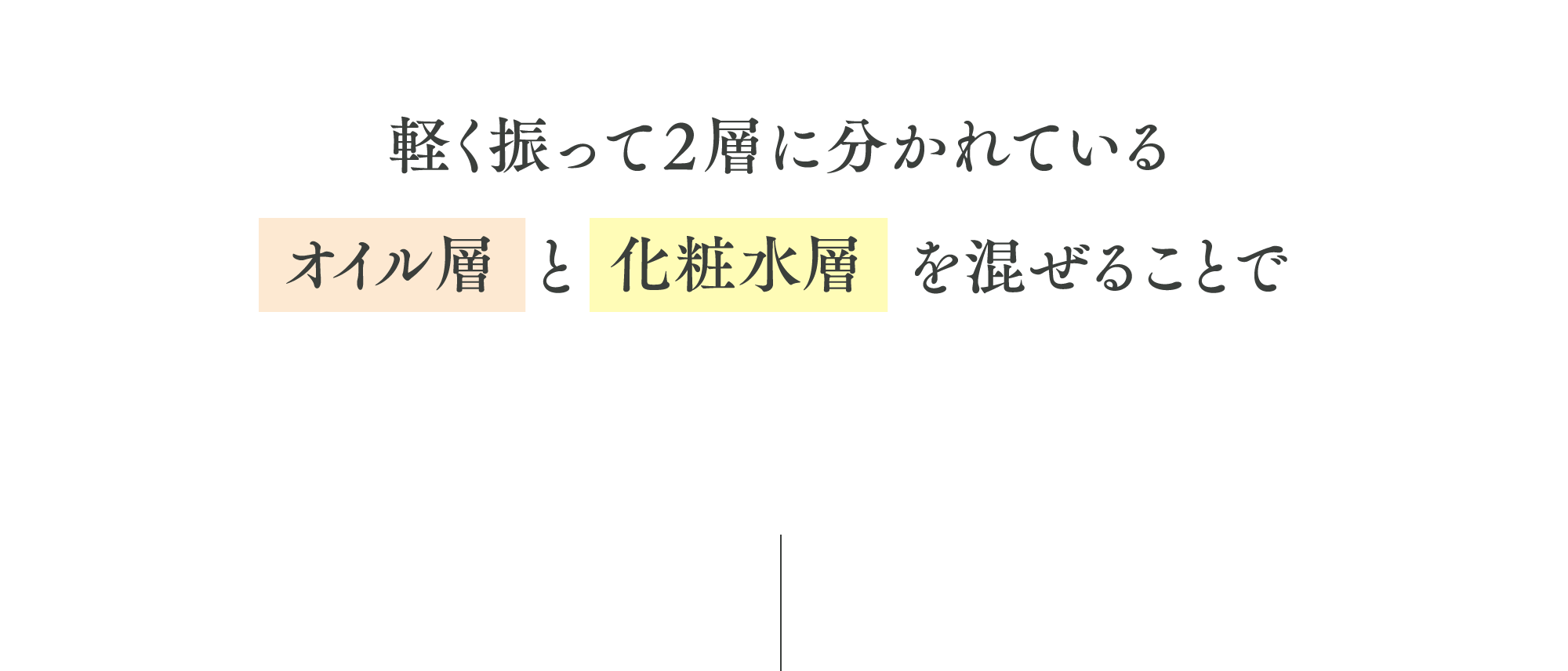 ビタミンCの安定性を高めることに成功！