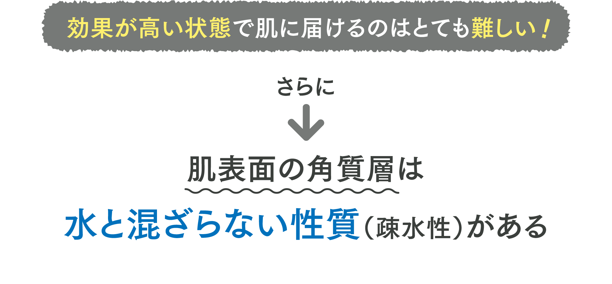 効果が高い状態で肌に届けるのはとても難しい！さらに肌表面の角質層は水と混ざらない性質（疎水性）がある